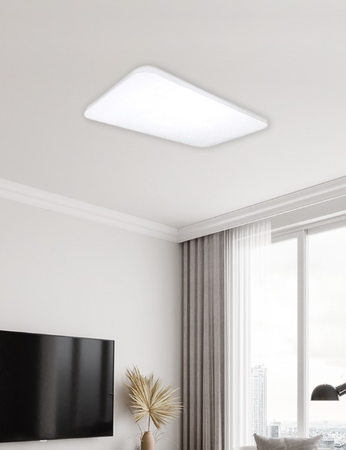 퓨로 LED 거실 2등 50W 거실등 안방등 천장등